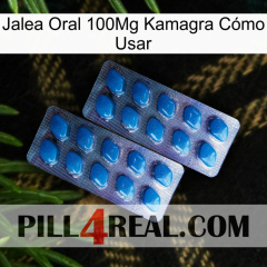 Jalea Oral 100Mg Kamagra Cómo Usar viagra2